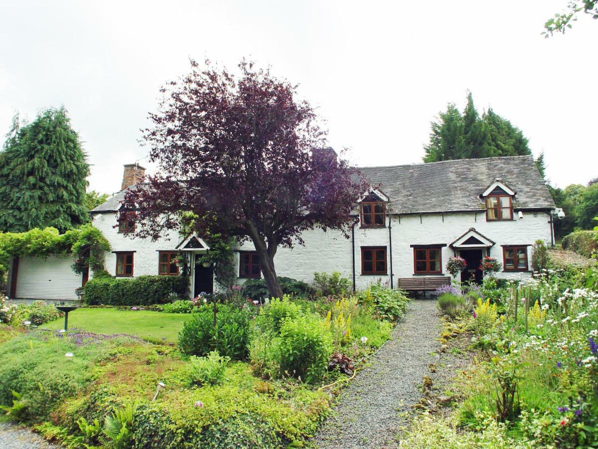 Glencoed B&B Рексъм Екстериор снимка